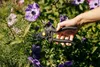 Fiskars 111960 Pro Gartenschere Produktbild-Vorschau 30