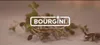 Robot da cucina Bourgini - Classic Kitchen Chef Red - Robot Anteprima dell’immagine prodotto 2