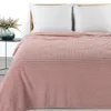 Eurofirany Copriletto in microfibra 130x170 rosa soft Lisa Anteprima dell’immagine prodotto 3