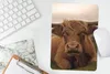 MuchoWow® Mauspad Mousepad Schottischer Highlander - Tiere Produktbild-Vorschau 5