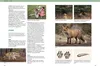 A collage of images related to hunting and wildlife, including a fox, wolf, and animal remains. Voir les images du produit