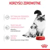 Royal Canin Cat – Mother & Babycat Laib Produktbild-Vorschau 12
