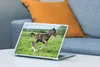 MuchoWow® Laptop Aufkleber Sticker Cover Pferd - Blumen - Produktbild-Vorschau 4