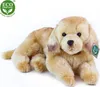 Peluche Golden Retriever 36 Cm Ecologico Anteprima dell’immagine prodotto 6