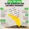 Super Ninja Gelbfalle 10er Produktbild-Vorschau 5