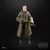Hasbro Star Wars: Andor Černá série Luthen Rael 15 cm F5529 Náhled obrázku produktu 17
