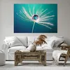 Bild auf Leinwand - Leinwandbild - Pflanze Natur - 120x80cm Produktbild-Vorschau 6