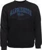 Übergrößen Sweatshirt AHORN SPORTSWEAR Harrisburg blau Produktbild-Vorschau 1