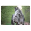 MuchoWow® Mauspad Mousepad Pferd - Wald - Porträt 27x18 cm Produktbild-Vorschau 1