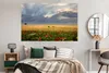 MuchoWow® Poster Blumenwiese - Weizen - Mohnblumen 180x120 Produktbild-Vorschau 4