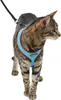 KERBL Harnais pour chat avec laisse, bleu 34-44x28cm Voir les images du produit 2