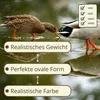 Nesteier Aus Gips Künstliche Bruteier Legeeier Kunsteier Produktbild-Vorschau 4