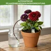Ton-Kegel-Bewässerungssystem, 6er-Set Pflanzenbewässerer, Produktbild-Vorschau 4