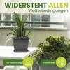 Tomatentopf eckig anthrazit mit Untersetzer 8 Stück, Produktbild-Vorschau 3