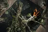 Ciseaux universels Fiskars Classic, 21 cm S90 Voir les images du produit 21