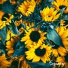 Sonnenblumen-Saatgutpaket - 10 Arten Produktbild-Vorschau 5