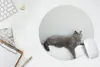 MuchoWow® Mauspad Mousepad Katze - Britisch Kurzhaar - Grau Produktbild-Vorschau 5