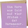 Mr. & Mrs. Panda Deluxe Karte Spruch Goldherz Havaneser - Produktbild-Vorschau 1