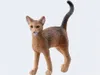 Schleich schleich® Farm World 13964 Abessinierkatze Produktbild-Vorschau 2