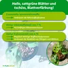 Purgrün Hydrokultur-Dünger 1 Liter, Produktbild-Vorschau 3