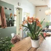Lechuza Samozavlažovací květináč Orchidea 18 cm, bílá Náhled obrázku produktu 15