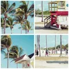 Poster - Poster ohne Rahmen - Strand Miami Florida - 50x40 Produktbild-Vorschau 8