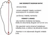 An illustration showing how to measure shoe size with text instructions. Anteprima dell’immagine prodotto