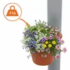 Blumentopf für Regenrohr - terracotta - Fallrohr Pflanztopf Produktbild-Vorschau 3