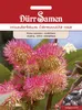 Wunderbaum rosa | Wunderbaumsamen von Dürr Samen Produktbild-Vorschau 3