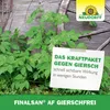 Neudorff Finalsan AF GierschFrei 750ml für 25m² Spray ohne Produktbild-Vorschau 6