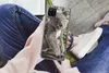 MuchoWow® Handyhülle Schutzhülle Hülle für Samsung Galaxy Produktbild-Vorschau 3