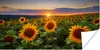 MuchoWow® Poster Blumen - Nacht - Sonnenuntergang - Produktbild-Vorschau 1