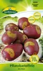 Pflanzkartoffel Miss Blush (10 Stück) (rot/gelb, Produktbild-Vorschau 1