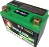 Batterie au lithium-ion SKYRICH - LTX5L Voir les images du produit 2