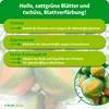Purgrün -Papaya-Dünger 1 Liter, Produktbild-Vorschau 3