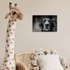MuchoWow® Poster Tierprofil Labrador Hund in schwarz und Produktbild-Vorschau 7