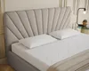 Polsterbett RAY - Komfortbett mit Stauraum, Doppelbett, Produktbild-Vorschau 2