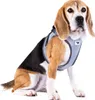 Curli Clasp Vest Geschirr Glow Reflective Gray, Größe: M Produktbild-Vorschau 4
