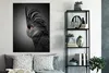 MuchoWow® Poster Schwarzer Kakadu mit dunklem Hintergrund Produktbild-Vorschau 4