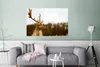 MuchoWow® Poster Damhirsch - Wald - Herde - Tiere - Natur Produktbild-Vorschau 5