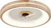 Stropní ventilátor Globo Lighting kovový bílý matný, LED Náhled obrázku produktu 1