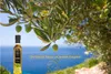 Natives Olivenöl extra mit Oregano 250ml Produktbild-Vorschau 2