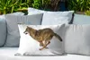 MuchoWow® Outdoor Kissen - Wolf - Schnee - Kälte - 60x40 cm Produktbild-Vorschau 4