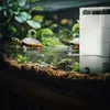 SunSun XN-800 - filtr vody pro želvy a obojživelníky SunSun Náhled obrázku produktu 4