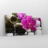 Bild auf Leinwand - Leinwandbild - Orchidee Bambus Produktbild-Vorschau 4