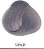 La Riché Directions Semi-Permanent Conditioning Hair Colour Produktbild-Vorschau 22