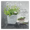 Leinwandbild Oregano für die Küche 40x40 Feeby Grün bild Produktbild-Vorschau 3