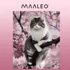 Maaleo 22783 Malování podle čísel - Kočka 40 x 50 cm Náhled obrázku produktu 2