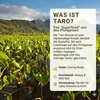 Biomatea Taro Latte Mix 150g Instant Pulver für Bubble Tea Produktbild-Vorschau 8