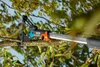 GARDENA cs-Baumscheren Aktion Produktbild-Vorschau 19